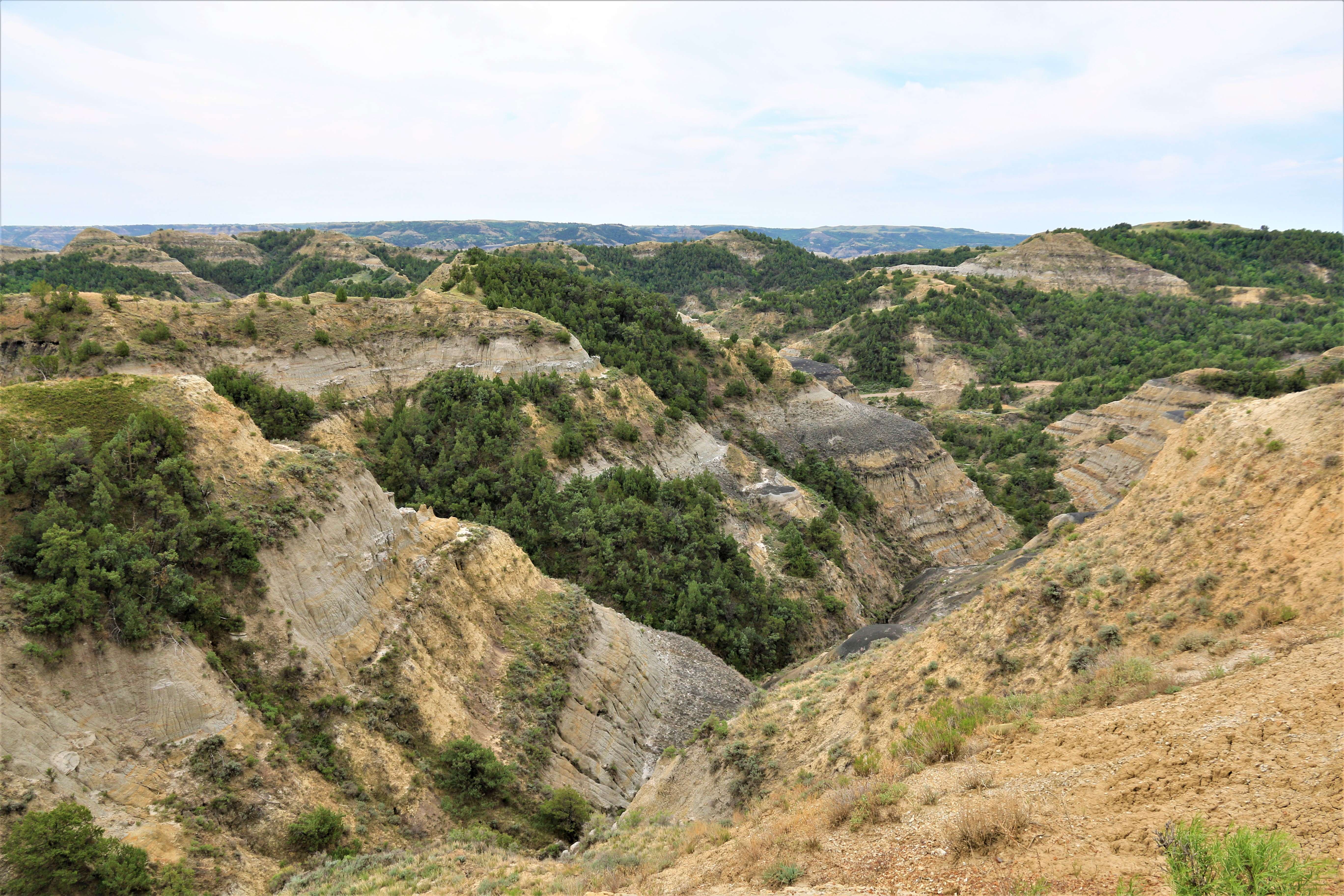 Theodore Roosevelt NP